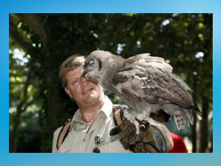 The Hawk Conservancy