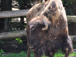 Salisbury Zoo