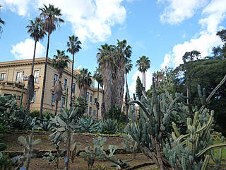 Orto Botanico di Palermo