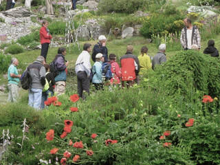 Jardin Botanique alpin