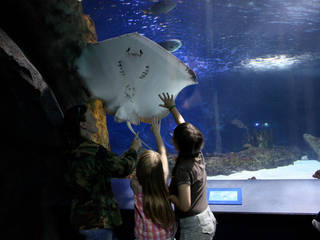 Das Newport Aquarium in Newport, Kentucky © DrBacchus