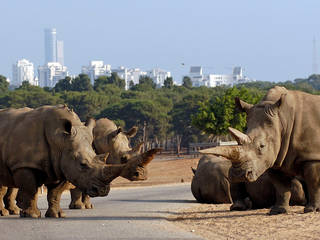 Ramat Gan Safari