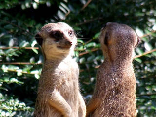 Zoo Augsburg