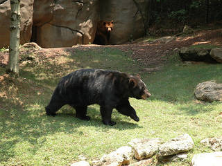 Montgomery Zoo