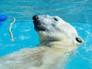 Zoo am Meer Bremerhaven