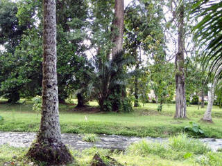 Limbe Botanic Garden