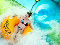 © SeaWorld Parks Entertainment