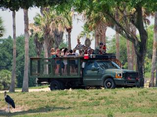 Attraktionen Und Fahrgeschafte Im Busch Gardens Tampa Bay