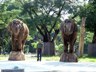 Zoo Negara