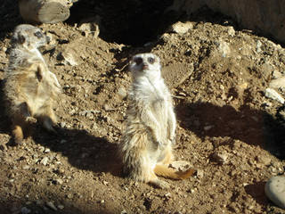 Charles Paddock Zoo