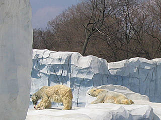 Detroit Zoological Park