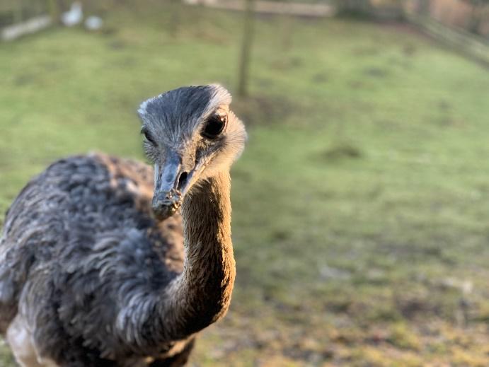 Vogel- und Tierpark Abensberg