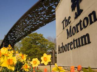 The Morton Arboretum