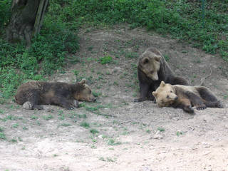 Zoo Kosice