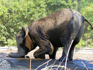 Roger Williams Park Zoo