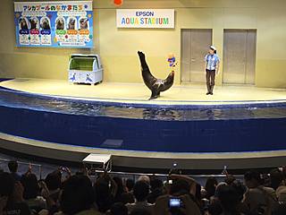 Shinagawa Aquarium