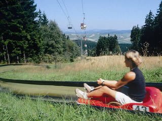 Sommerrodelbahn Hohenbogen