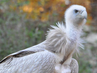 Antalya Zoo