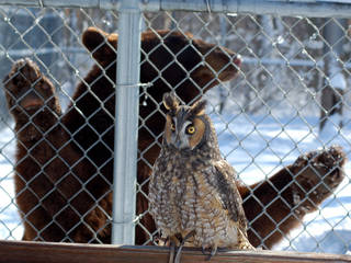 Wildlife Science Center