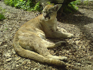 Zoo Opole