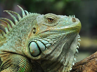 TerraZoo Rheinberg