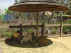 Ziegen im Streichelgehege des Happy Hollow Park and Zoo. © Oleg Alexandrov