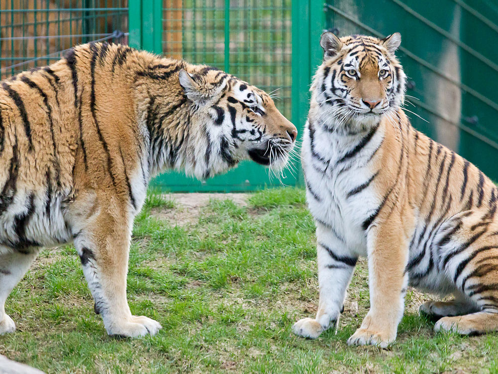 Wildpark Lüneburger Heide