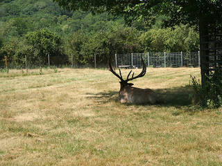 Oxbow Park and Zollman Zoo