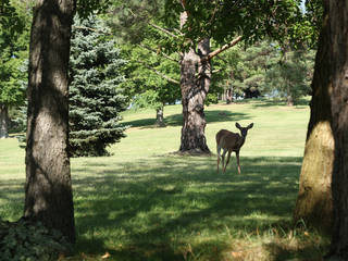 Good Zoo at Oglebay Park