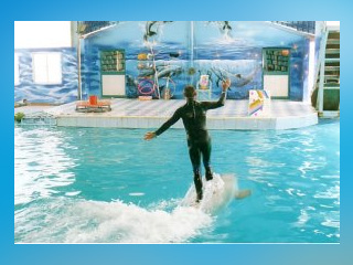 Dolphin Resort Bahrain