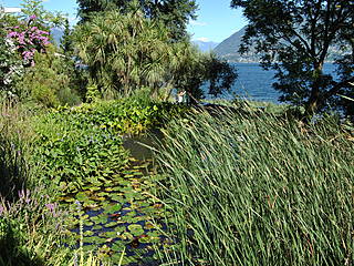 Parco Botanico del Cantone Ticino