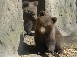 Wildpark Gangelt