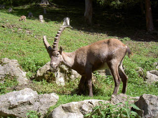 Wild- und Erlebnispark Enghagen