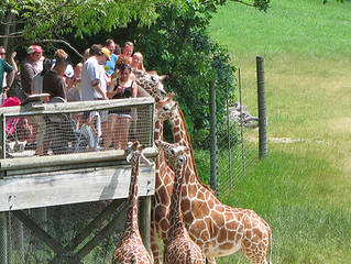 Binder Park Zoo