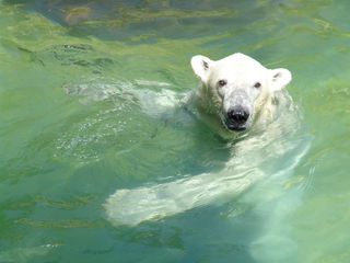 Tierpark Neumünster