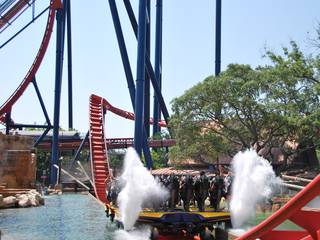 Attraktionen Und Fahrgeschafte Im Busch Gardens Tampa Bay