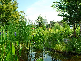 Blick vom Botanischen Garten auf das Kapitol. © United States Botanic Garden