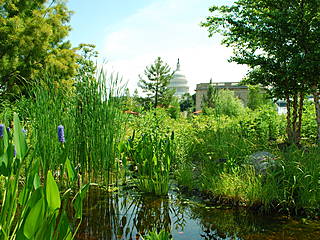 United States Botanic Garden