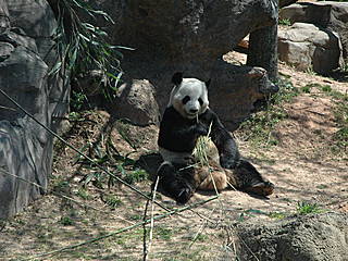 Zoo Atlanta