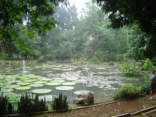 Kebun Raya Bogor