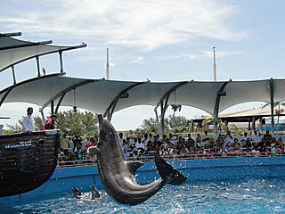 Miami Seaquarium