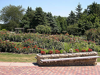 Dubuque Arboretum and Botanical Gardens