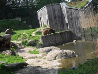 Tierpark Olderdissen