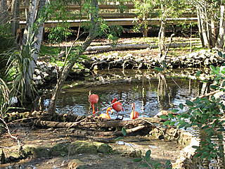 Homosassa Springs Wildlife State Park