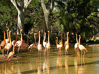 Parc Zoològic de Barcelona