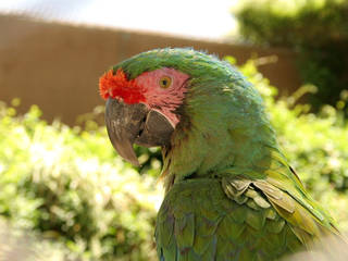 Rio Grande Zoo