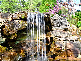 Garvan Woodland Gardens