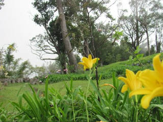 Cinchona Botanical Gardens