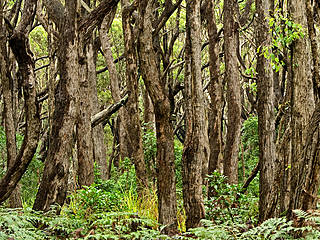 Booderee National Park and Botanic Gardens