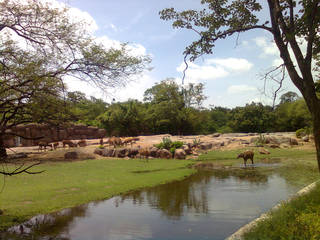 Nehru Zoological Park